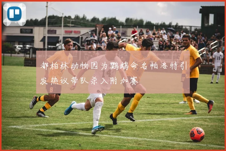 都柏林动物园为鹦鹉命名帕洛特引发热议带队杀入附加赛